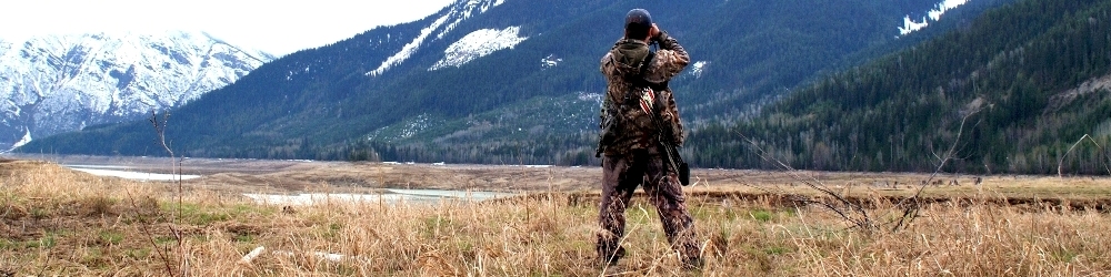 glassing for grizzly bear
